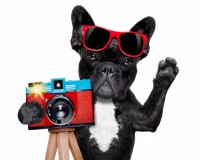 Основы фотографии. Базовый курс