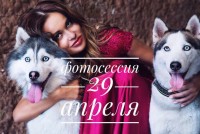 Фото Съёмка с Хаски