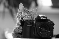 Открытый урок «Canon vs Nikon». Выбор фототехники