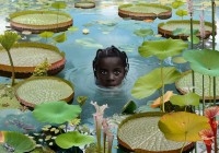 Тенденции современной фотографии (Лекция №4. Развитие фотографической технологии)