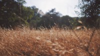 Основы фотографии с Андреем Рогозиным