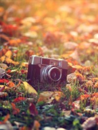 Фотооткрытие 2016