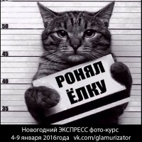 Экспресс фотокурсы - Новогодняя программа от Игоря Алексеева