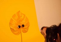 �������� � Fashion Media