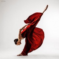 ������-����� Vadim Stein � ����������