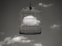 Семинар "Творческое мышление в фотографии"