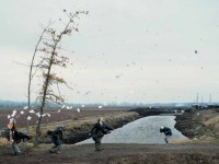Лекции Федора Тощева. Интервенция в пространство