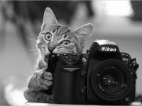 Открытый урок «Canon vs Nikon». Выбор фототехники