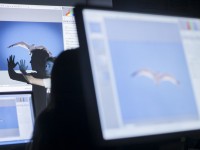 Экспресс-курс по Adobe Photoshop