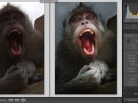 Онлайн-курс Обработка фотографий в Lightroom