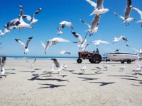 Первые шаги фотографа в другой стране