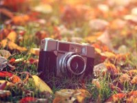 Фотооткрытие 2016