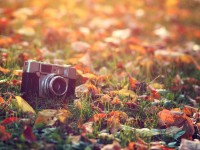 Основы фотографии. Интенсивный курс (утро)