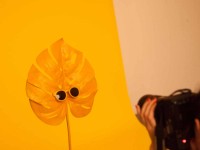 Фотограф в Fashion Media