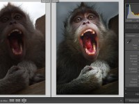 Онлайн-курс Обработка фотографий в Lightroom