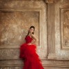 Red Swan