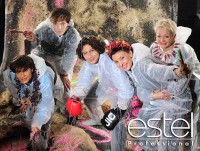 ���-����� ��������� �FREE ART� �� ESTEL Professional