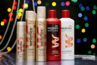 ������ ����� ��������� ������ � ���������� �������  Winter Party Style �� Wella